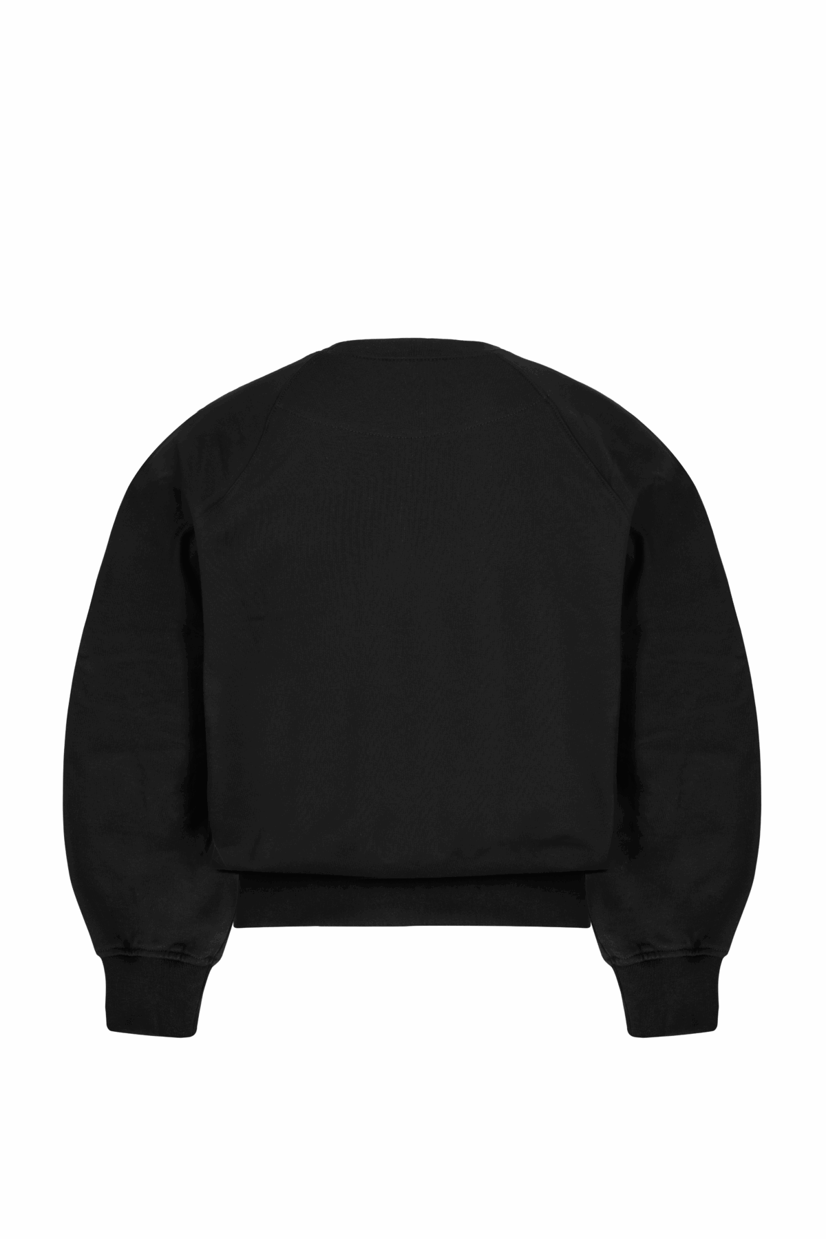 RAGLAN CREWNECK (BLACK) - obrazek 2
