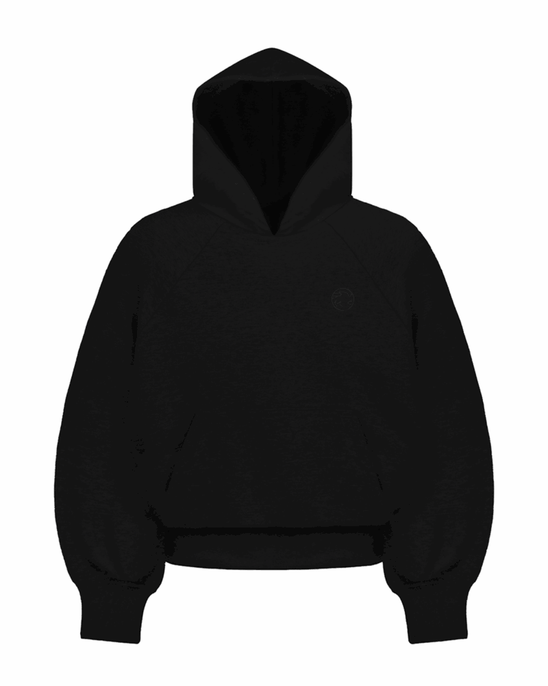 RAGLAN HOODIE (BLACK)