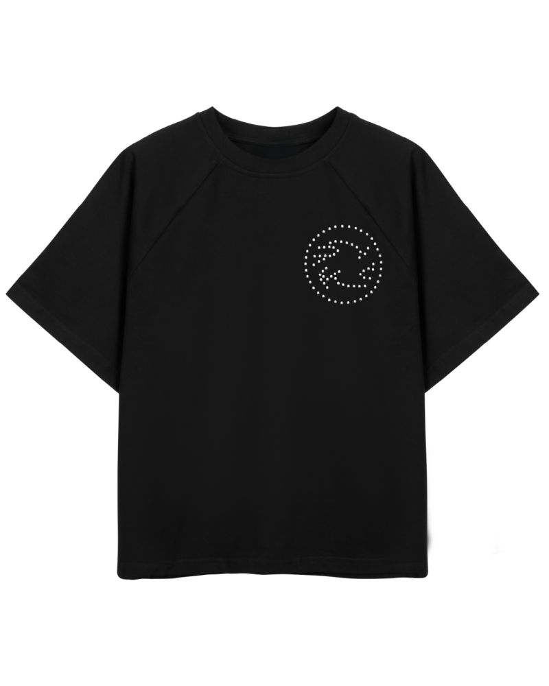 EMBLEM RAGLAN T-SHIRT (BLACK)