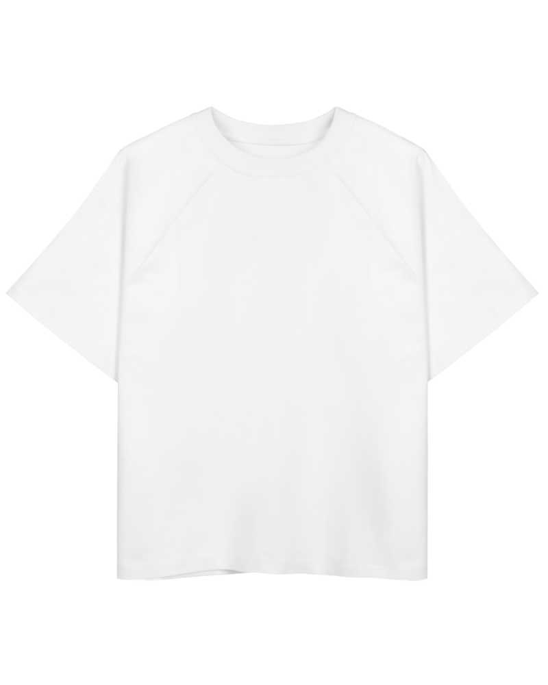 RAGLAN T-SHIRT (WHITE)