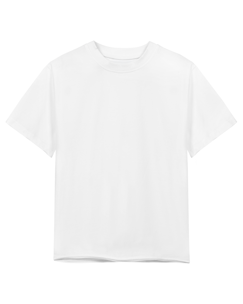 RAW T-SHIRT (WHITE)